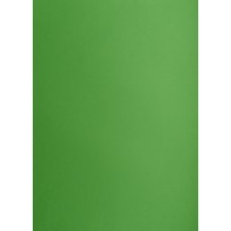 Brystol Creatinio zielony B1 Zielony 225g 1k (400150268)