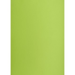 Brystol zielony jasny B1 zielony jasny 225g 1k Creatinio (400150267)