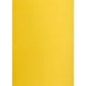 Brystol Creatinio żółty ciemny B1 żółty 225g 1k (400150257)