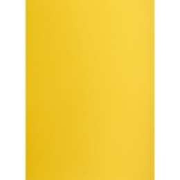 Brystol Creatinio żółty ciemny B1 żółty 225g 1k (400150257)