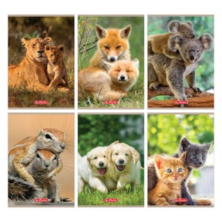 Zeszyt A5 Animals 9583055 16k. 70g linia kolor Herlitz (400197967)