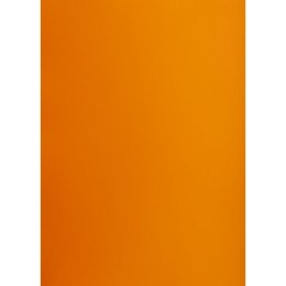 Brystol Creatinio pomarańczowy B1 pomarańczowy 225g 1k (400150261)