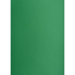 Brystol Creatinio zielony ciemny B1 zielony ciemny 225g 1k (400150269)