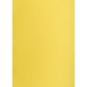 Brystol Creatinio żółty B1 żółty 225g 1k (400150264)
