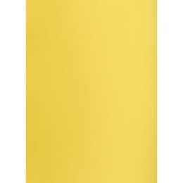 Brystol Creatinio żółty B1 żółty 225g 1k (400150264)