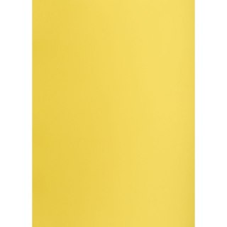 Brystol żółty B1 żółty 225g 1k Creatinio (400150264)