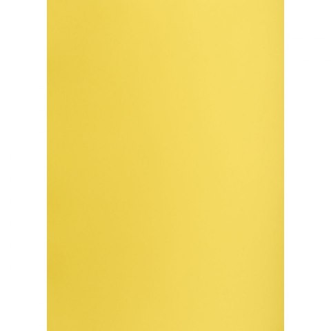Brystol Creatinio żółty B1 żółty 225g 1k (400150264) Brystol Creatinio żółty B1 żółty 225g 1k (400150264)