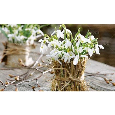 Kalendarz ścienny NOTATNIKOWY KOMPOZYCJE KWIATOWE 220mm x 490mm Lucrum (WN02)