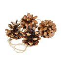 Ozdoba świąteczna szyszki naturalne Arpex (BN4138)