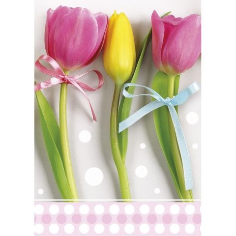 Bileciki do upominków, prezentów, kwiatów Pol-Mak 55 x 77 mm mix wzorów