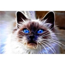 Zestaw kreatywny Norimpex Diamentowa mozaika kot niebieskie oczy 40x30cm (NO-1007109)