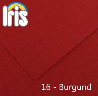 Brystol Iris 16 B1 burgundowy 240g 25k [mm:] 700x1000 Canson (200040455)