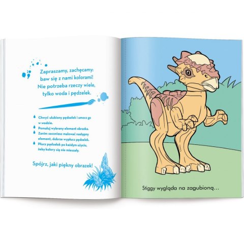 Książka dla dzieci Maluj wodą Ameet