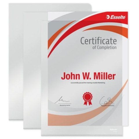 Ofertówka A4 kolor: przezroczysty typu L 150 mic. Esselte (55430)