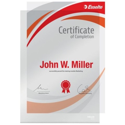 Ofertówka A4 kolor: przezroczysty typu L 150 mic. Esselte (55430)