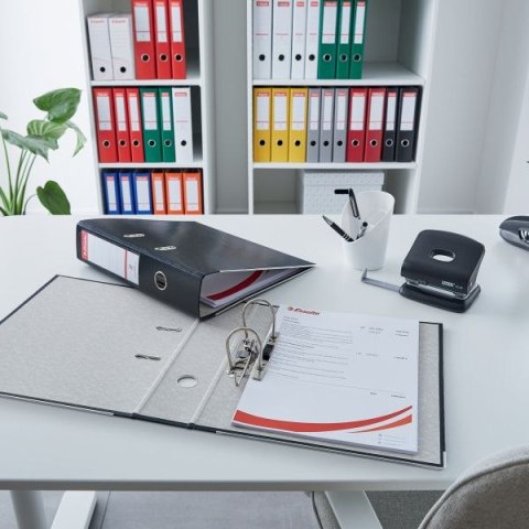 Segregator dźwigniowy Ekonomiczny A4 50mm żółty Esselte (81191)