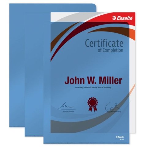 Ofertówka A4 kolor: niebieski typu L 150 mic. Esselte (55435)