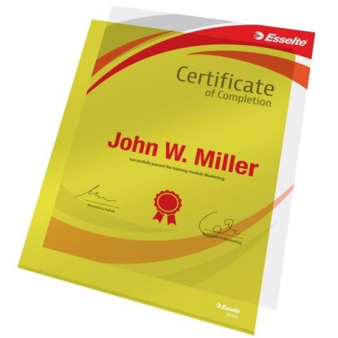 Ofertówka A4 kolor: żółty typu L 150 mic. Esselte (55431)