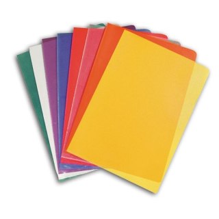 Skoroszyt A4 żółty PVC PCW Erich Krause (3887)