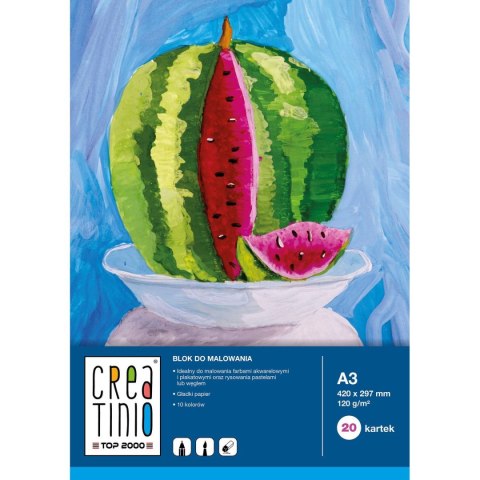 Blok artystyczny Creatinio A3 120gg 20k Top 2000 (400079859)