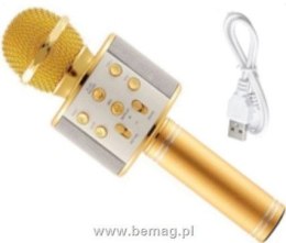 Mikrofon zabawkowy Bemag karaoke bluetooth