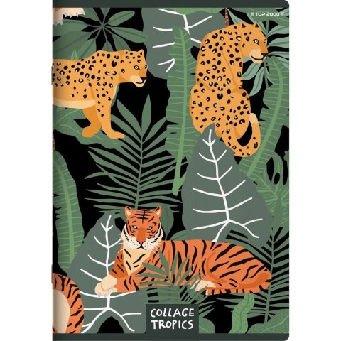 Zeszyt COLLAGE TROPICS A5 96k. 70g linia Top 2000 (400157940)