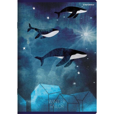 Zeszyt WINTER SAILOR A5 60k. 70g linia Top 2000 (400157926)