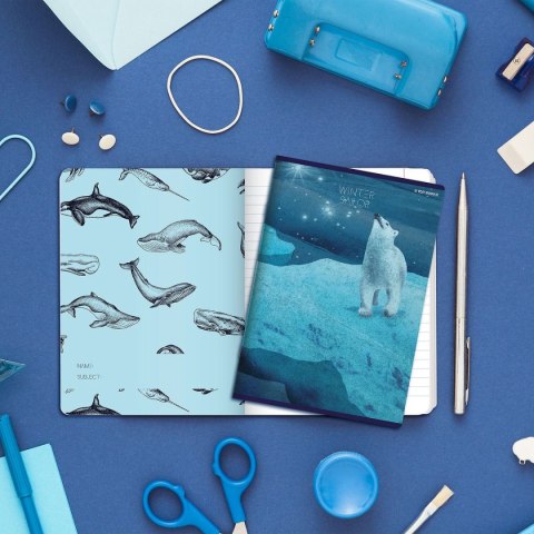 Zeszyt WINTER SAILOR A5 60k. 70g linia Top 2000 (400157926)