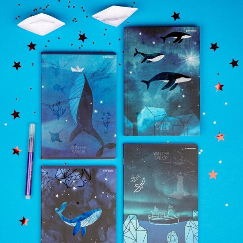 Zeszyt WINTER SAILOR A5 60k. 70g linia Top 2000 (400157926)