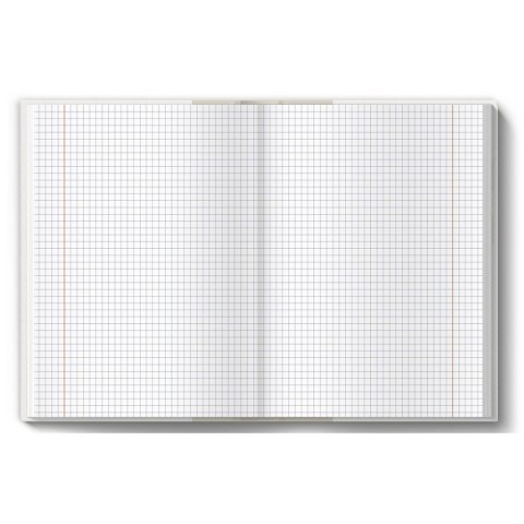 Brulion tematyczny fizyka A5 80k. 70g krata [mm:] 150x210 TOP-2000 (400160623)