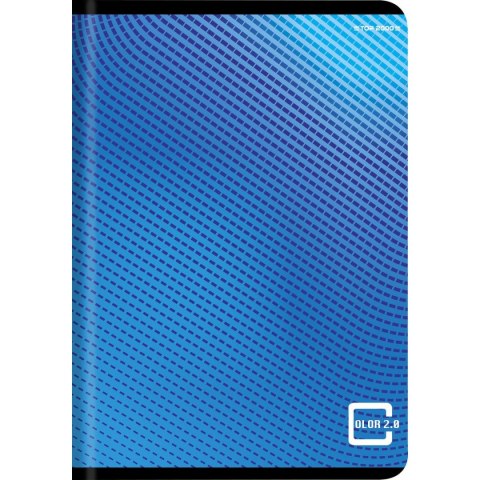 Zeszyt colors mix A5 60k. 70g krata Top 2000 (400169183)