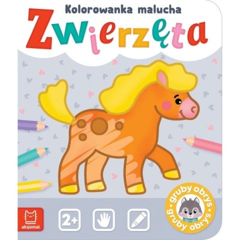 Książeczka edukacyjna Zwierzęta. Kolorowanka malucha Aksjomat