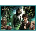 Puzzle Trefl Harry Potter 10w1 el. (90392)