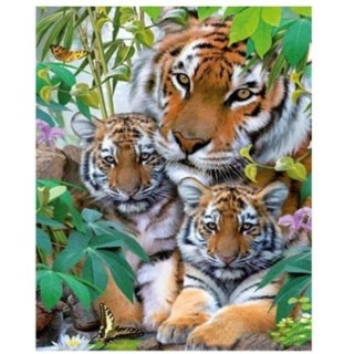 Zestaw kreatywny malowanie po numerach - 3 tygrysy 40x50cm Norimpex (NO-1008215)