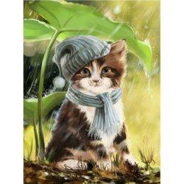 Zestaw kreatywny Norimpex malowanie po numerach - kotek w czapce 40x50cm (NO-1008212)