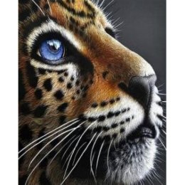 Zestaw kreatywny Norimpex malowanie po numerach - tygrys o błękitnych oczach 40x50cm (NO-1005670)