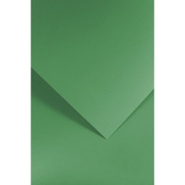 Papier ozdobny (wizytówkowy) gładki zielony A4 zielony 210g Galeria Papieru (205512)