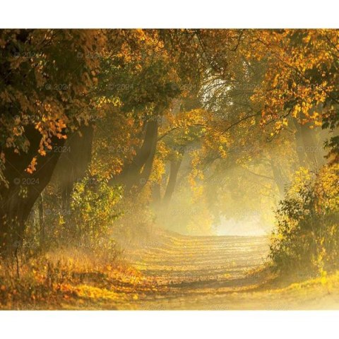 Kalendarz ścienny MAGICZNA POLSKA 13-planszowe 2024 320mm x 470mm Lucrum (RW02)