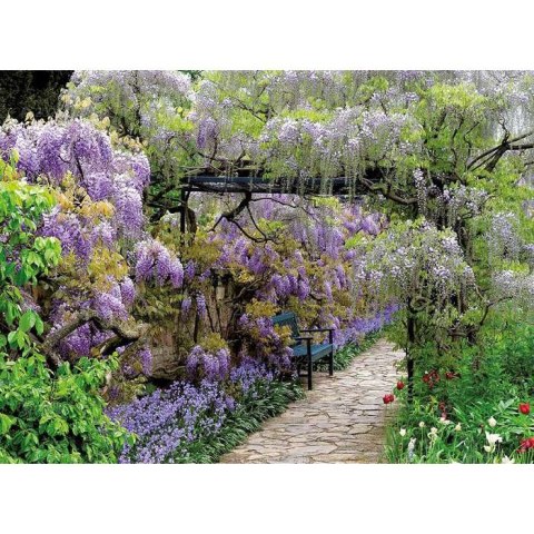 Kalendarz ścienny OGRODY RAJSKIE 13-planszowe 2024 320mm x 470mm Lucrum (RW11)