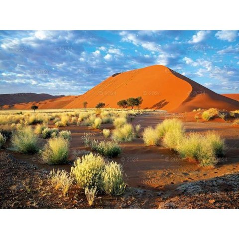 Kalendarz ścienny PODRÓŻE PO KONTYNENTACH 13-planszowe 2024 320mm x 470mm Lucrum (RW09)