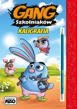 Książeczka edukacyjna Gang Szkolniaków. kALIGRAFIA Niko