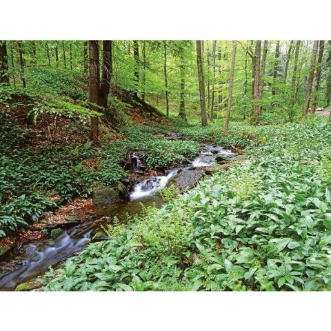 Kalendarz ścienny LASY POLSKIE 13-planszowe 2024 320mm x 470mm Lucrum (RW04)