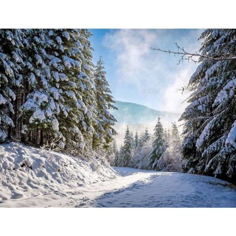 Kalendarz ścienny LASY POLSKIE 13-planszowe 2024 320mm x 470mm Lucrum (RW04)