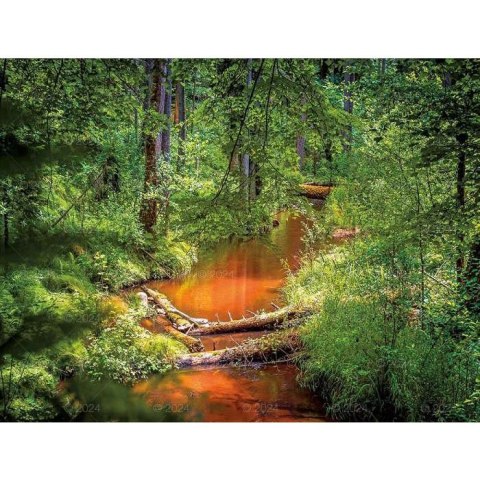 Kalendarz ścienny LASY POLSKIE 13-planszowe 2024 320mm x 470mm Lucrum (RW04)