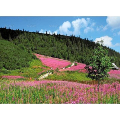 Kalendarz ścienny PEJZAŻE TATRZAŃSKIE 13-planszowe 2024 320mm x 470mm Lucrum (RW05)