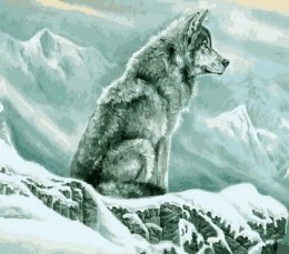 Zestaw kreatywny Norimpex malowanie po numerach - wilk w górach 40x50cm (NO-1008938)
