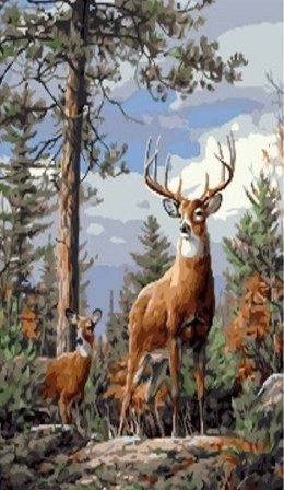 Zestaw kreatywny Norimpex malowanie po numerach - jelenie na wzgórzu 40x50cm (NO-1008979)