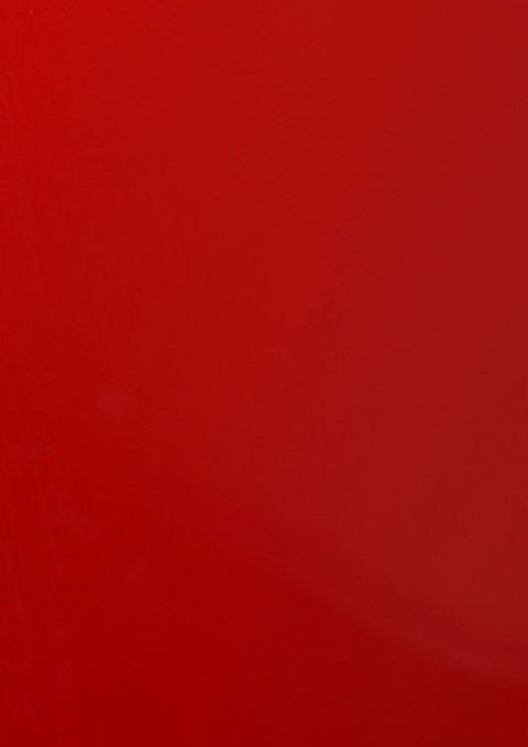 Brystol Protos A3 Czerwony 160g 20k
