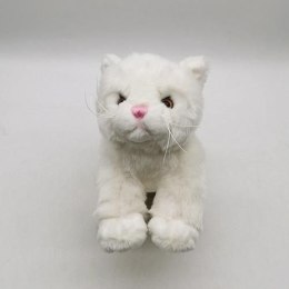 Pluszak kot biały Anek (SP84531)