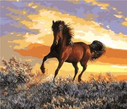 Zestaw kreatywny Norimpex malowanie po numerach - koń i zachód słońca 40x50cm (NO-1008871)
